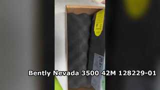 128229-01 Bently Nevada 3500 42M Seismischer Monitor